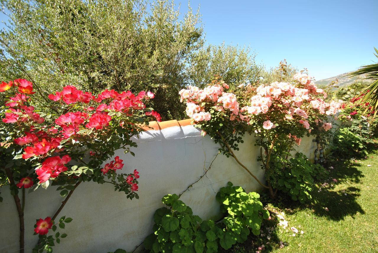 Holiday Residence Rifugio Орозеи Екстериор снимка